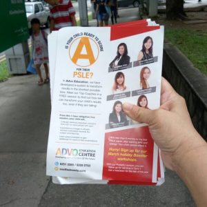 Street Flyer Distribution Advo