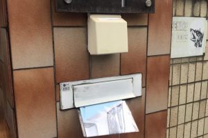 50K Landed Letterbox Distribution Job Gallery Image 04