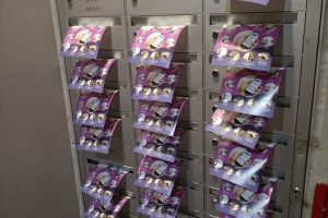 Landed Letterbox Distribution Job Gallery Image 04