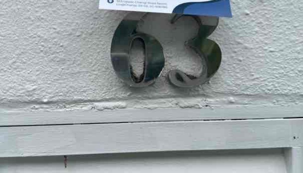 The Do’s and Don’ts of Flyer Distribution in Landed Houses Image